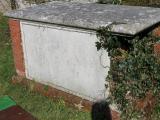 image of grave number 556855